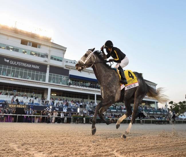 ‘월드 클래스’ 경주마 닉스고, 한국...