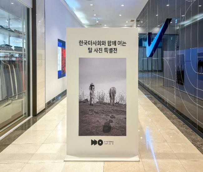 말의 해 맞아 도심에서 만나는 말의 ...